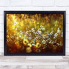 Wonderland No words Golden Summer Meadow Yellow Daisy Daises Blur Wall Art Print