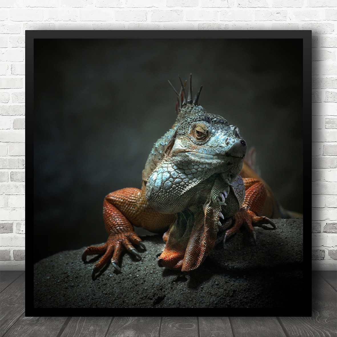 reptile wall art