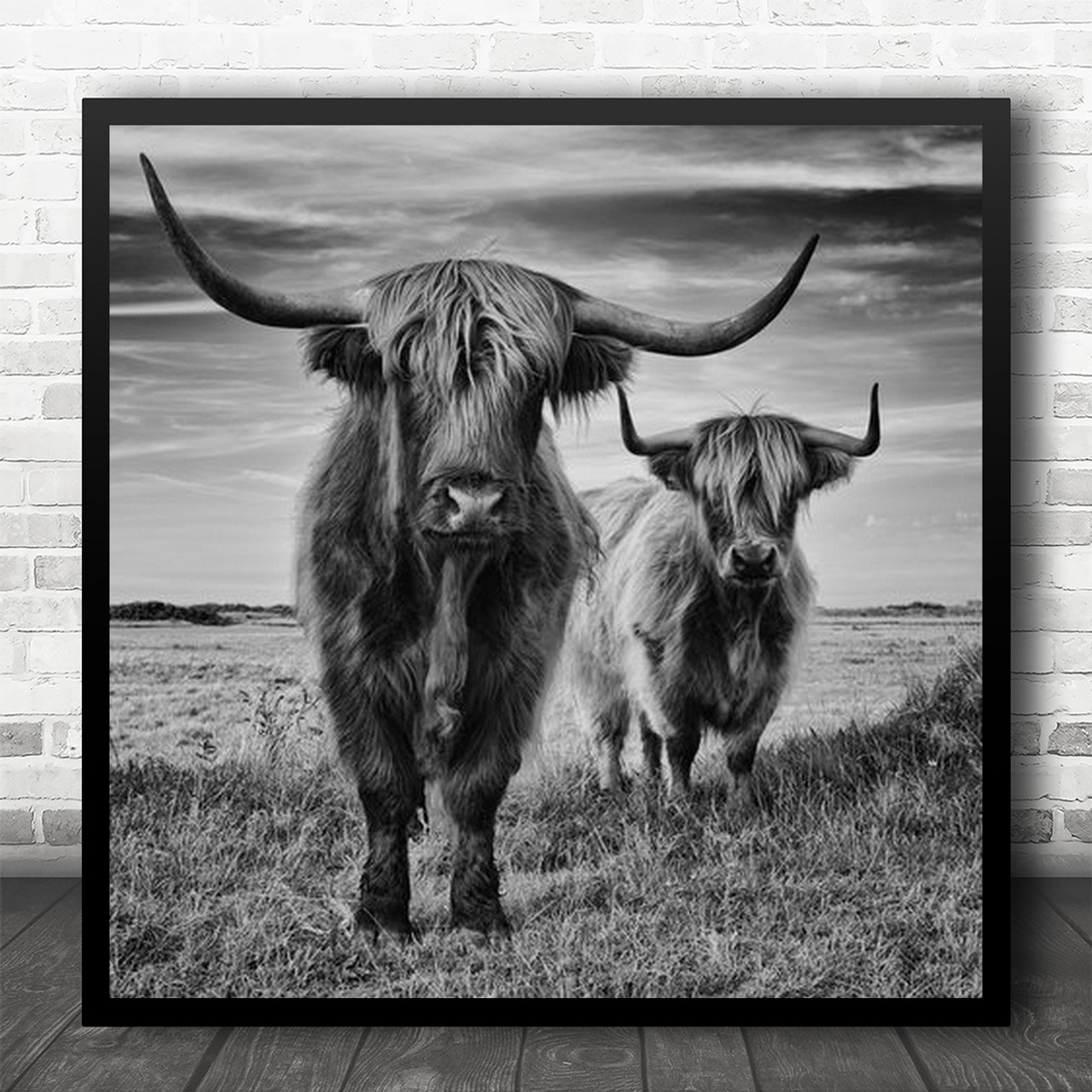 Highland Cattle – affordable canvas prints online – Photowall