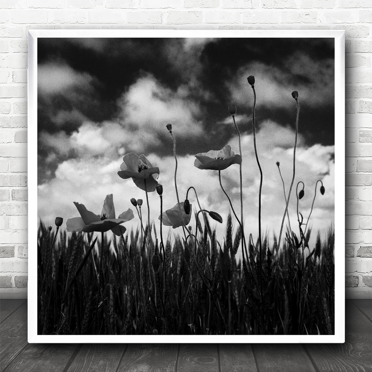 Black and White Wild Flower Contour Pattern Framed Wall Art Print