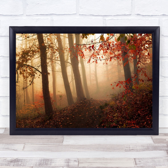Forest Denmark Skive Red Woods Autumn Fall Leaf Leaves Wall Art Print