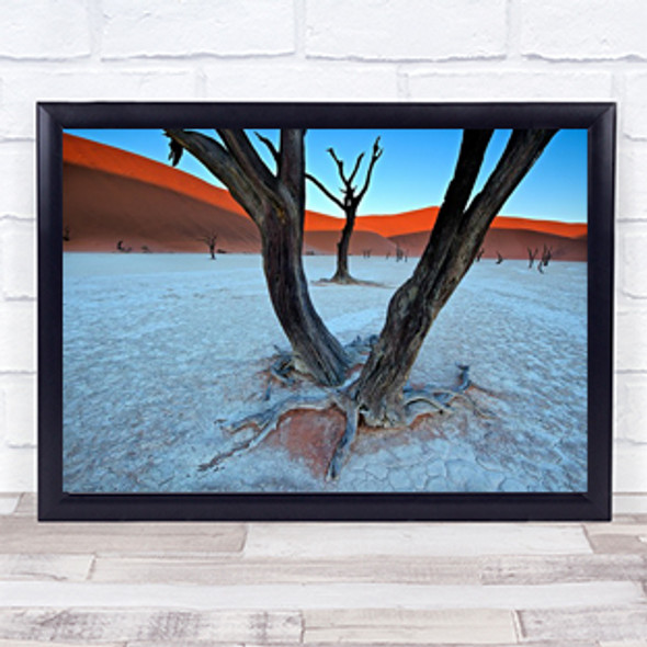 Ancient Trees In The Vlei Desert Dunes Namibia Africa Dead Wall Art Print