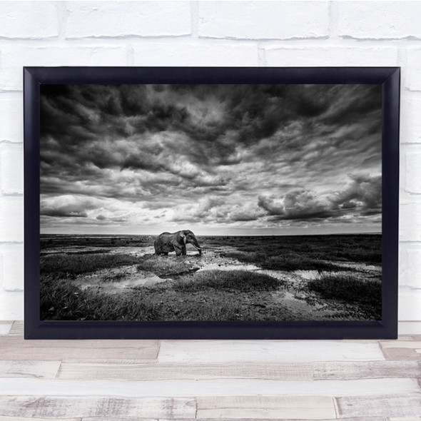 Amboseli Kenya B&W Elephant Africa Contrast Alone Lonely Solitude Wall Art Print