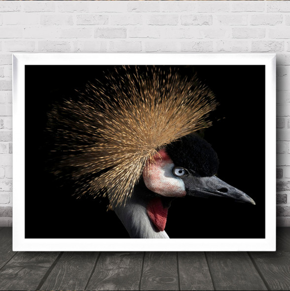 Crowned Crane Bird Birds Animal Animals Dark Low Key Low-Key Hair Wall Art Print