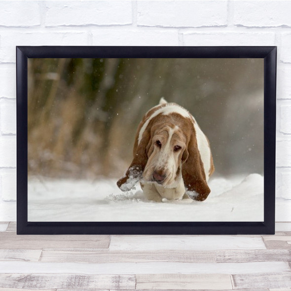 Just Taking It Easy Dog Pet Snow Snowing Winter Animal Ears Cold Wall Art Print