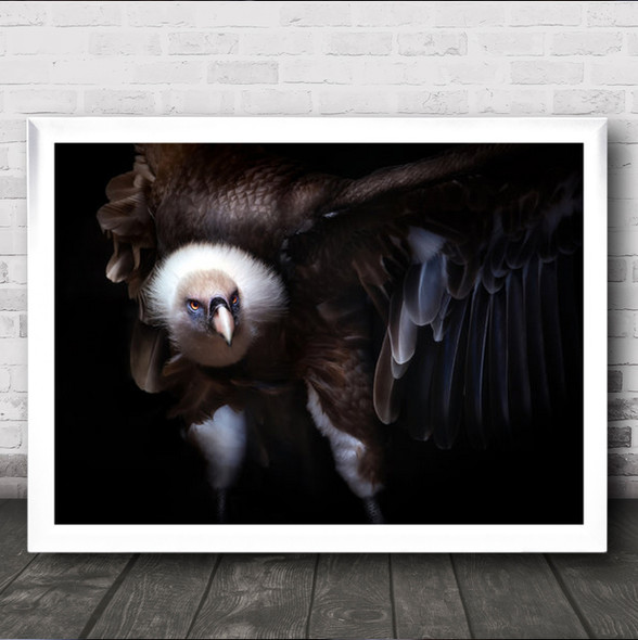 The Duel Vulture Bird Wings Feather Feathers Animal Animals Dark Wall Art Print
