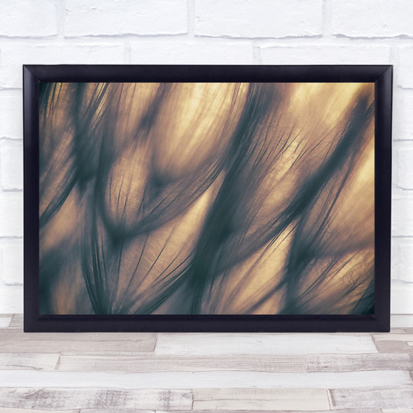 Dandelion Seeds Seed Gold Golden Soft Blur Blurry Feather Macro Wall Art Print