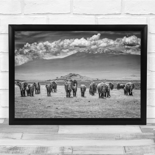 Elephants Wildlife Wild Nature Animal Animals Flock Herd Family Wall Art Print