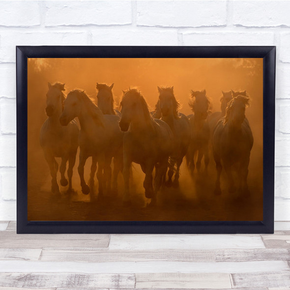Evening Ride Horses Camargue Dust Sunset Horse Group Flock Herd Wall Art Print