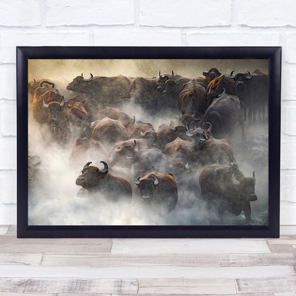 Herd Cow Cows Animals Animal Water Dust Cattle Buffalo Buffalos Wall Art Print