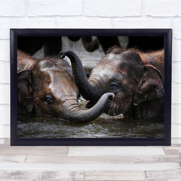 Just We Two Elephant Elephants Cute Waer Play Playing Young Cub Wall Art Print