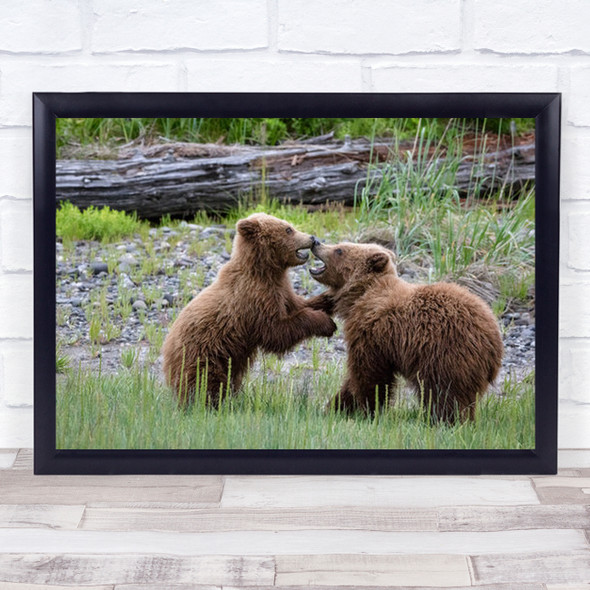 ALASKA BABY BEAR kisses - Mama Bear and Baby Bear - Cute Baby Bear Cub  Photos - Bear Wall Art - Mama Bear - Mama and Baby - Nursery Wall Art