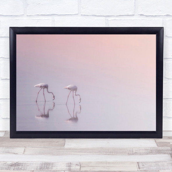 Serenity 3 Kuwait Animals Flamingos Birds Seaside Flamingo Pink Wall Art Print