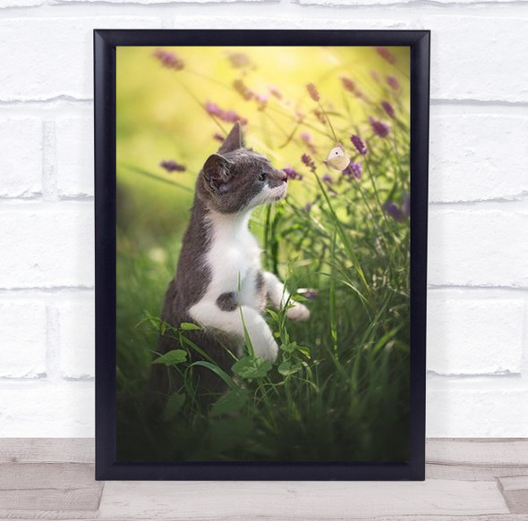 Whispering Cat Pet Pets Summer Animal Butterfly Insect Lavender Wall Art Print