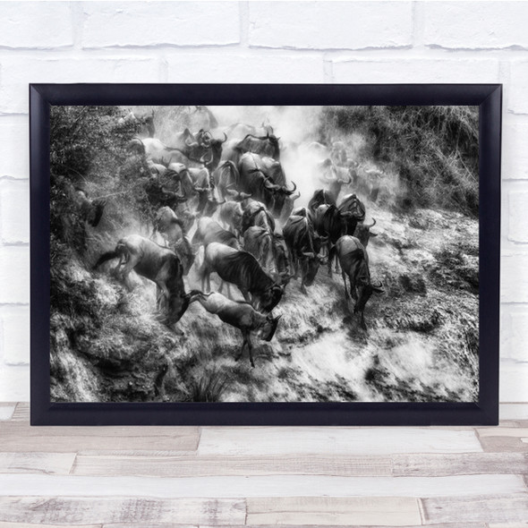 Cluster Wildebeest B&W Action Jump Leap Wildlife Nature Animal Wall Art Print