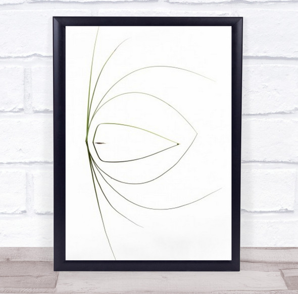 Grass Water Reflection Zen Serene Serenity Calm Still Peaceful Wall Art Print