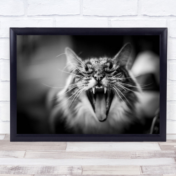 Hear Me Meow Cat Cats Roar Fangs Yawn Bokeh Blur Blurry Animal Wall Art Print