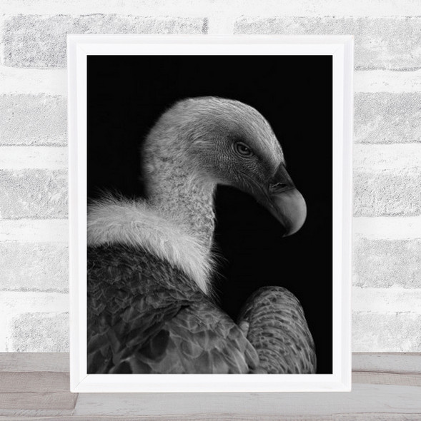 Majestic B&W Dark Bird Vulture Thriller Fear Terror Still Life Wall Art Print