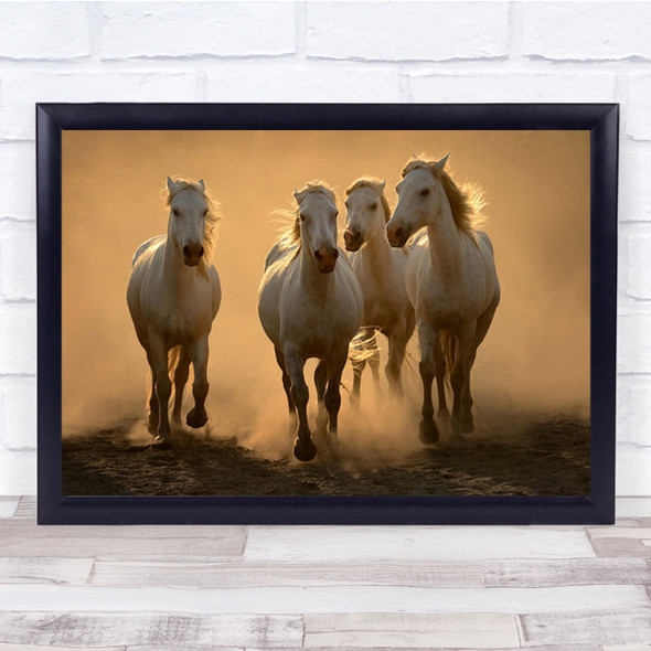 Quartet Camargue France White Horses Evening Dust Sunset Horse Wall Art Print