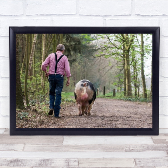 A Walk In The Woods Rijsbergen Netherlands Pig Farmer Farming Wall Art Print