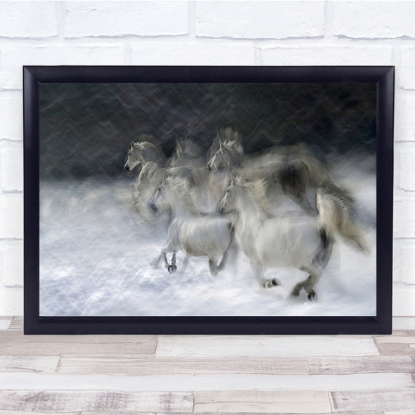 First Winter Scene Animals Animal Horses Wildlife Adventure Action Art Print