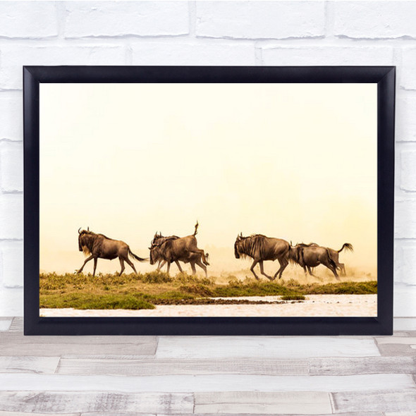 Fun In The Sun Animals Wildlife Safari Wildebeests Prey Herd Wall Art Print