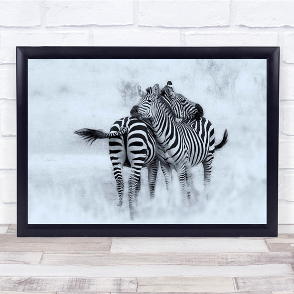 Give Me A Hug Zebra Africa Tanzania Soft Zebras B&W High Key Wall Art Print