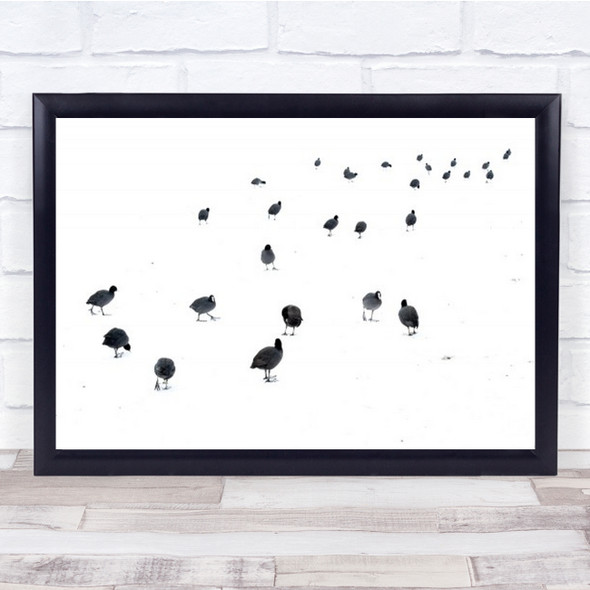 March Of The Coots Coot Winter Abstract Bird Snow Eindhoven Wall Art Print