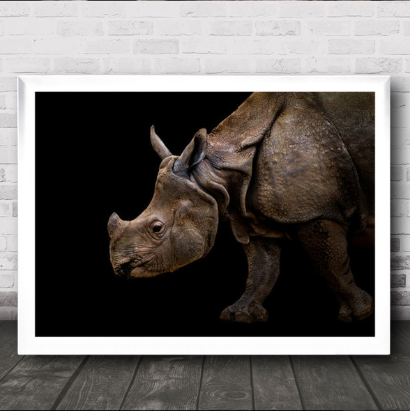 Rhinoceros Dark Low Key Low-Key Rhino Rhinos Graphic Animal Wall Art Print