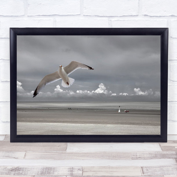Seaside Mood Belgium Beach Bird Seagull Birds Coast Coastal Wall Art Print