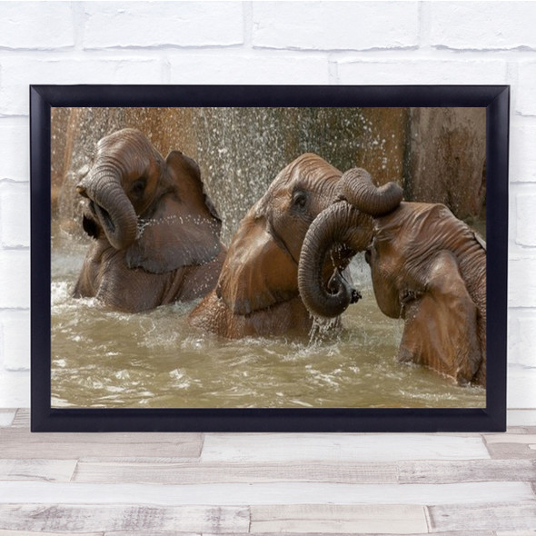 Bath Time Play Elephant Water Spain Elephants Trunks Spray Wall Art Print