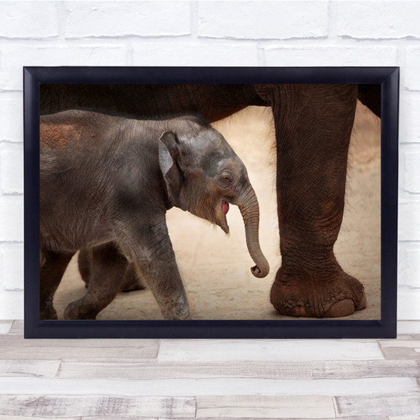 The Magic Of Walking Cute Animal Animals Baby Cub Elephant Wall Art Print