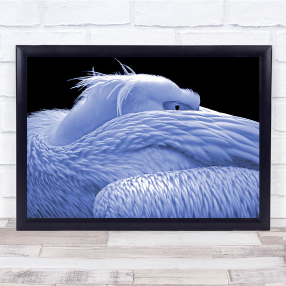 Blue Twilight Bird Pelican Animal Animals Hide Hiding Shy Wall Art Print