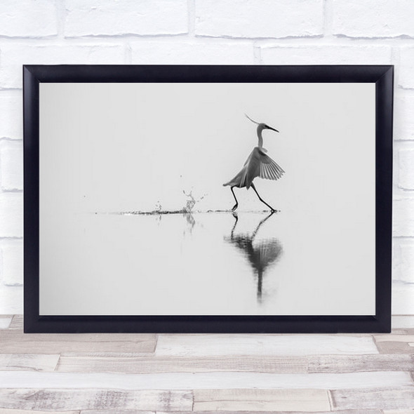 Dancing On The Water Egretta Garzetta Bird Wings Feather Wall Art Print