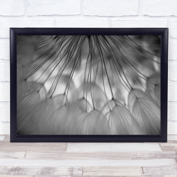 Dandelion Seeds Downy Tufts Seed Soft B&W Abstract Macro Wall Art Print