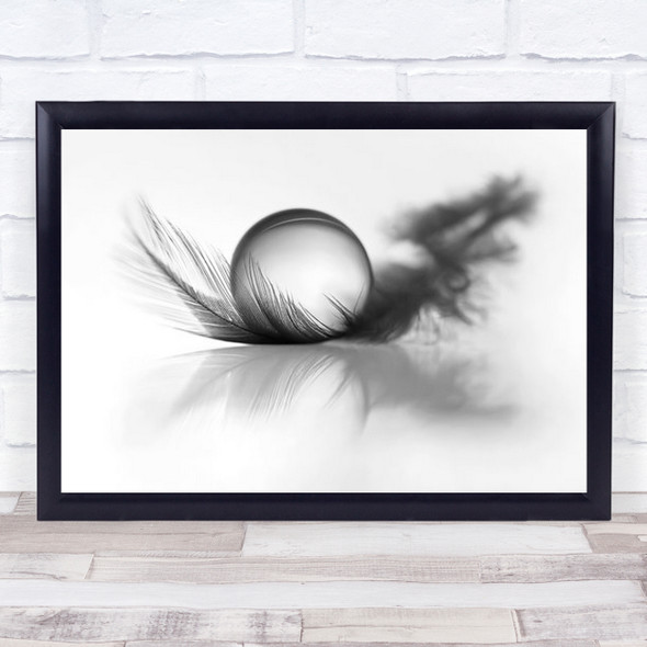 Lightness Feather Feathers Pearl Drop Droplet Water Soft Wall Art Print