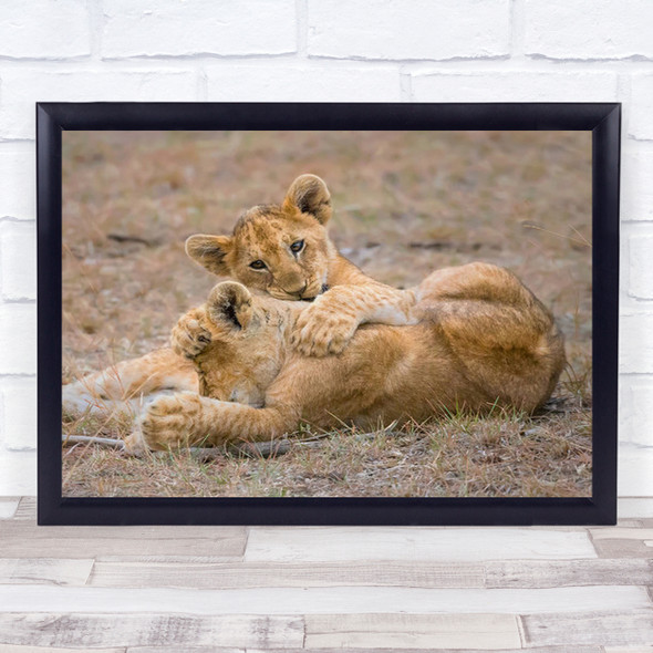 The Love Lion Happy Playing Lovely Comfort Kenya Feeling Wall Art Print