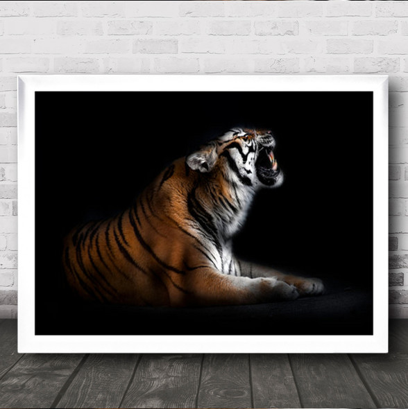 Tiger Portrait Feline Tigers Dark Low Key Low-Key Animal Wall Art Print