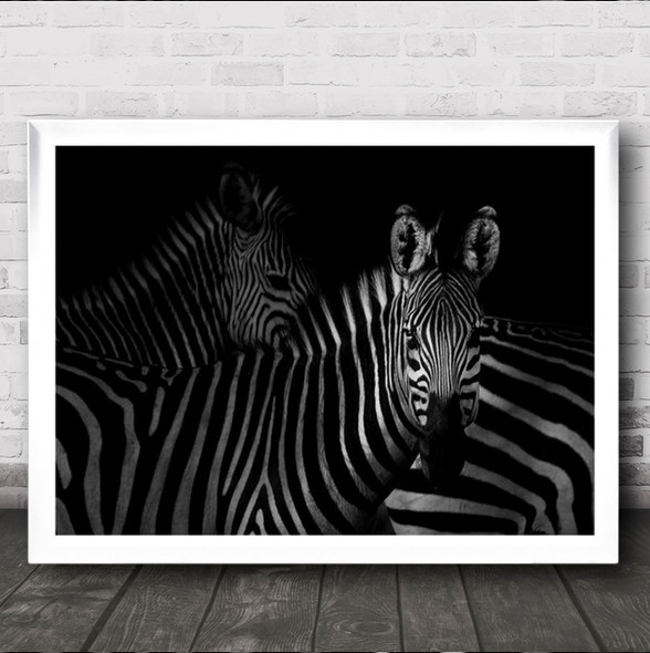 Zebra Zebras Animal Animals Dark Low Key Low-Key Stripes Wall Art Print