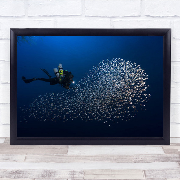 Alvin Shoal Underwater Sea Ocean Fish Lagoon Lagon Reef Wall Art Print