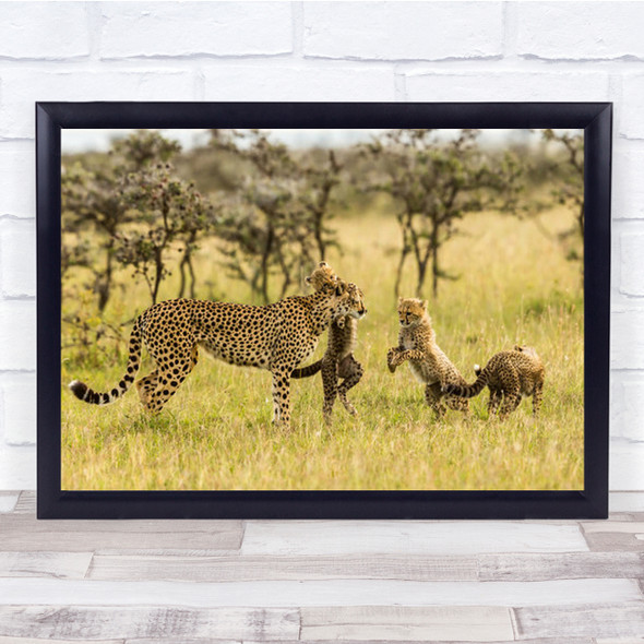 Cheetahs And Cubs Wildlife Nature Africa Kenya Cheetah Wall Art Print