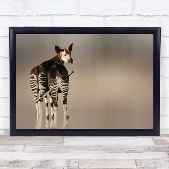 Do You Like My Stripped Panties Animal Okapi Zoo Fauna Wall Art Print