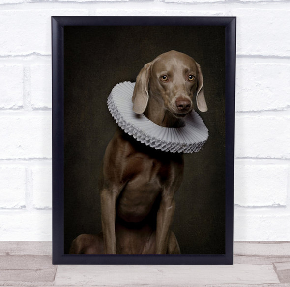 Dog Studio Pet Animal Animals Collar Vintage Retro Fun Wall Art Print