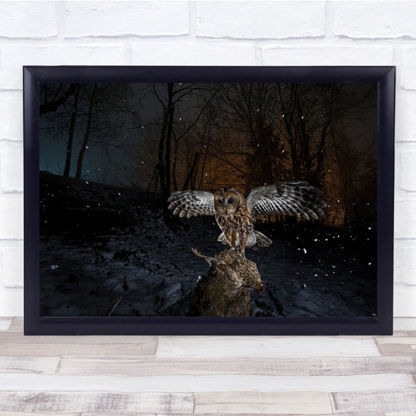 Tawny Owl Red In A Snow Storm Animal Raptor Bird Night Wall Art Print