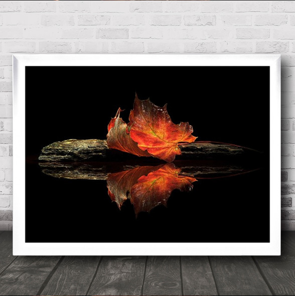 Autumn Colors Leaf Leaves Fall Season Seasonal Curled Wall Art Print