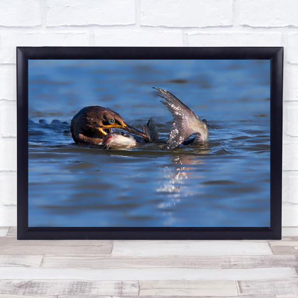 It's Too Big Bird In Deep Lake With Large Fish Caught Wall Art Print