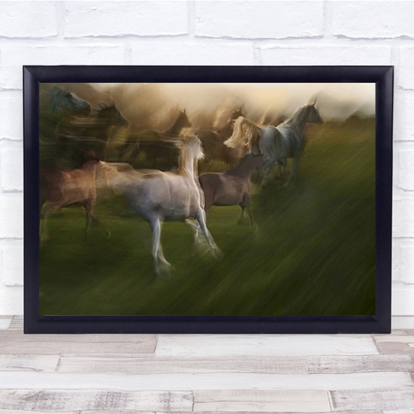 Up And Down Lipicanci Horse Horses Blur Blurry Motion Wall Art Print