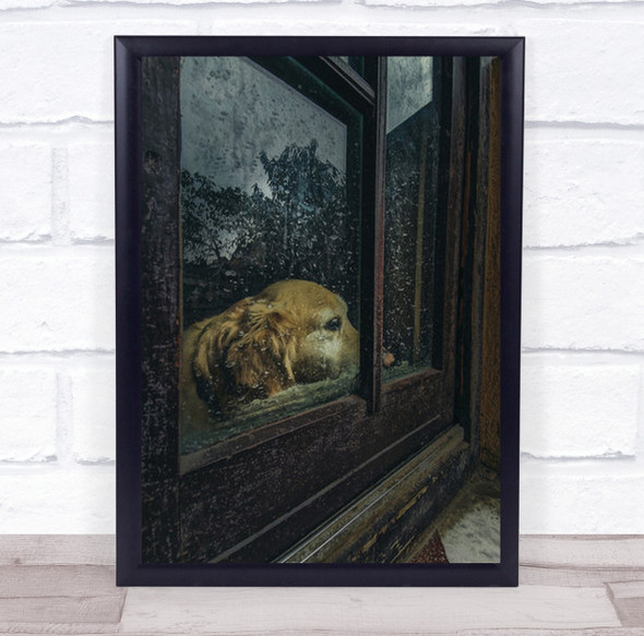 Waiting Game Dog Animal Animals Pets Window Door Wait Wall Art Print