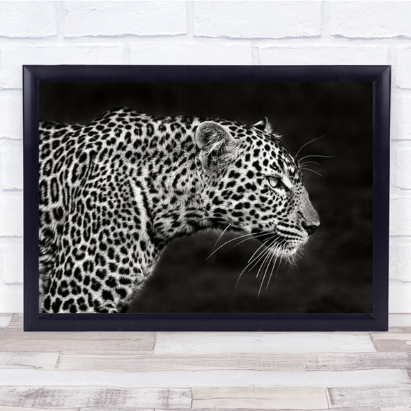 Leopard Close Up Wildlife Kenya Africa Safari Feline Wall Art Print