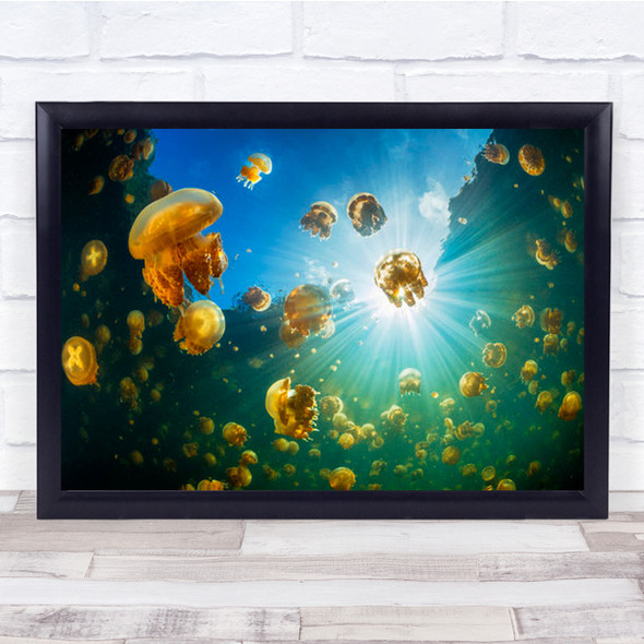 Sunlight And Jellyfish Indonesia Lake Sun Underwater Wall Art Print